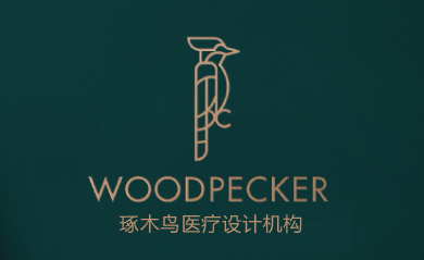 黑龍江啄木鳥(niǎo)醫療空間定位設計